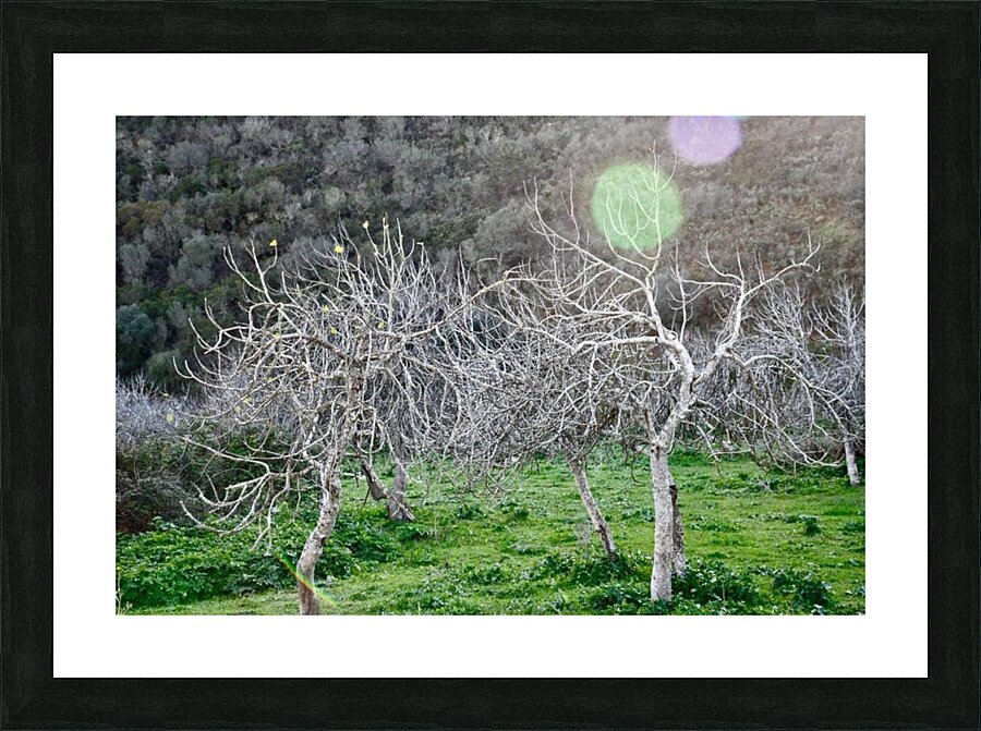  Fine Art print