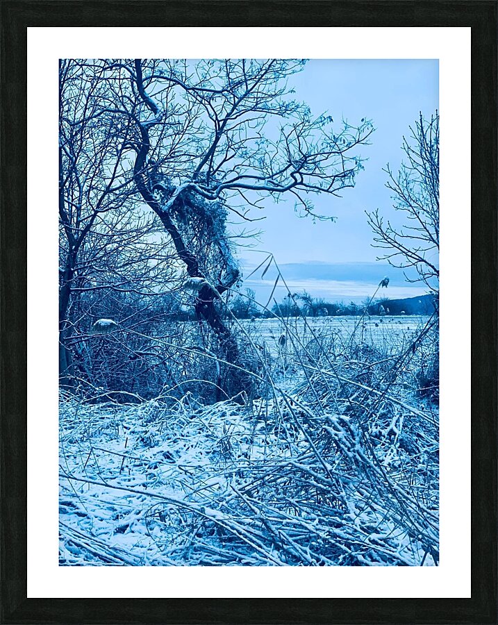  Fine Art print