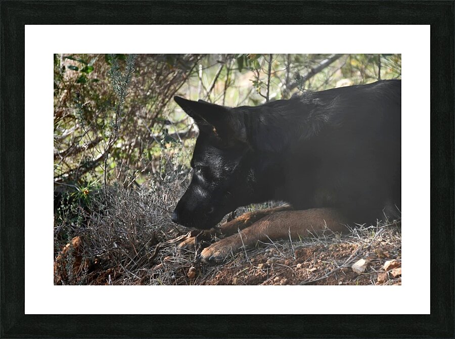  Fine Art print