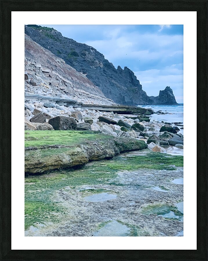  Fine Art print