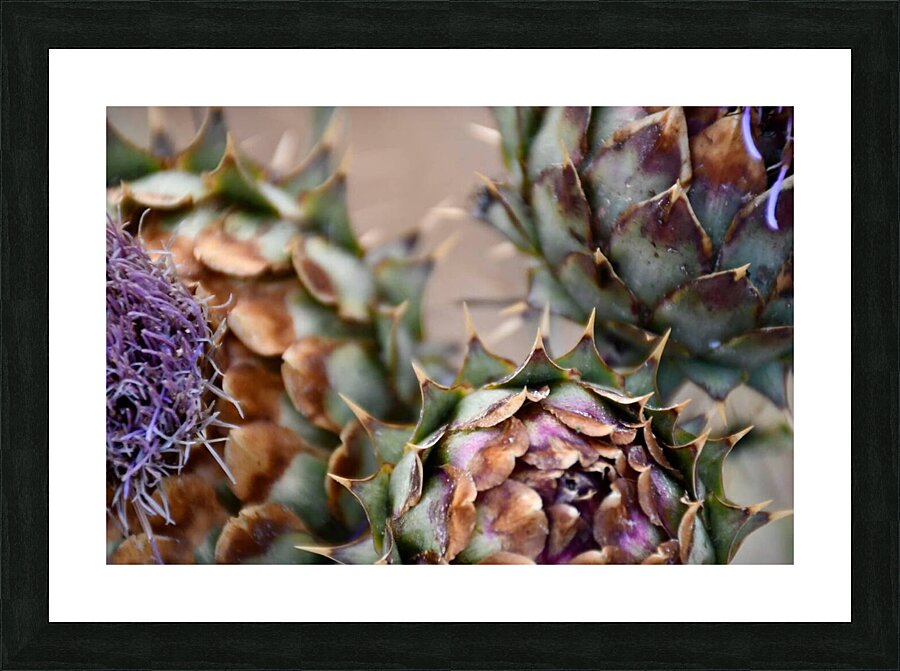 Fine Art print