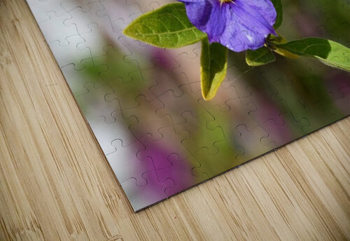 Purple flower Medna Holistic puzzle
