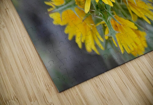 Yellow Thisle  Medna Holistic puzzle