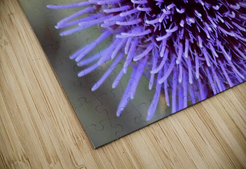 Milk Thisle Flower Medna Holistic puzzle