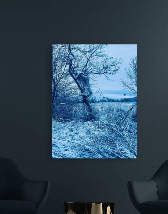 Winter by Medna Holistic