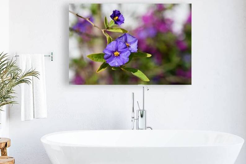 Purple flower by Medna Holistic
