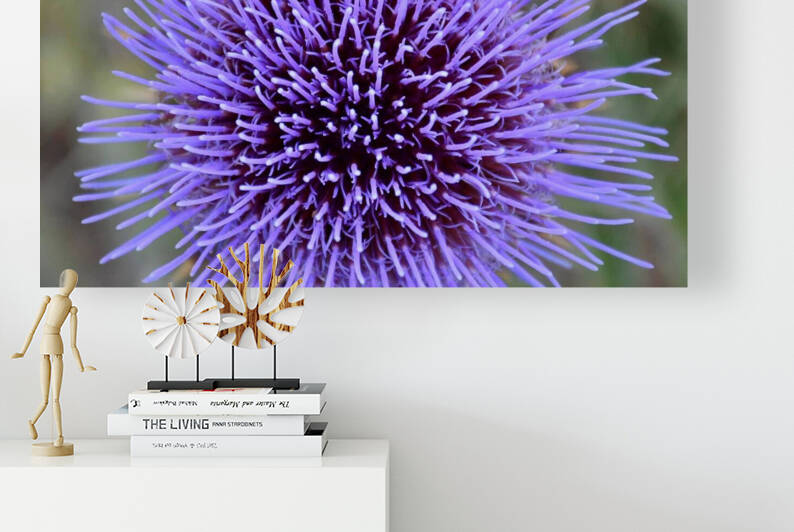 Milk Thisle Flower by Medna Holistic