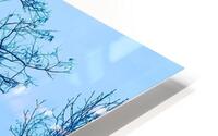 Winter HD Metal print