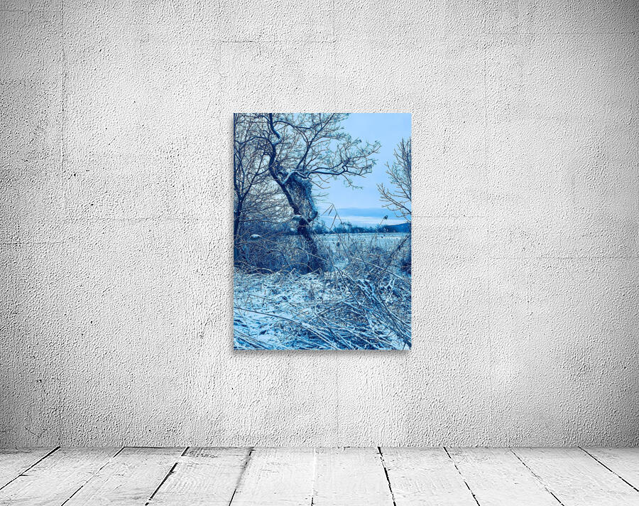 Winter Wall Preview