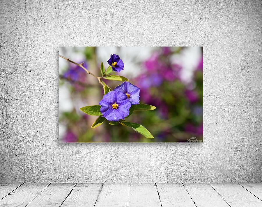 Purple flower Wall Preview