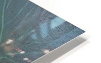 Hidden beauty HD Metal print