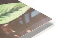 Life HD Metal print