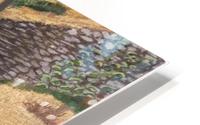 Path to Rydal Mount HD Metal print