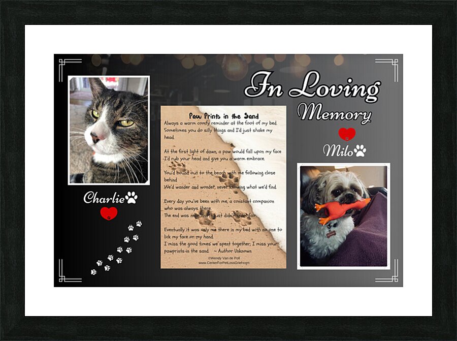 Style 14A Picture Frame print