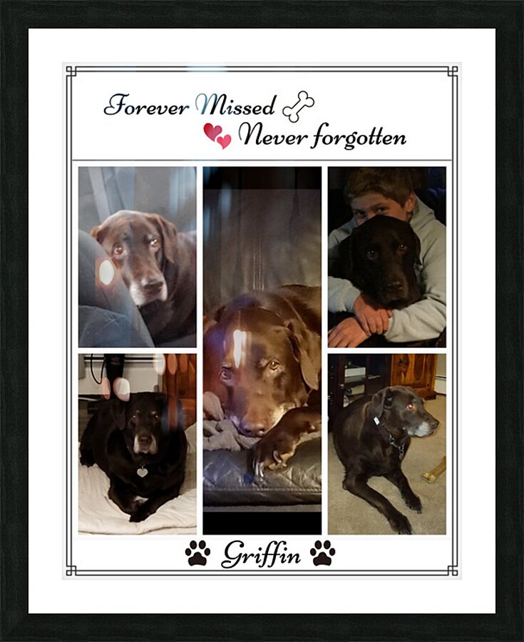 Style 19A Picture Frame print
