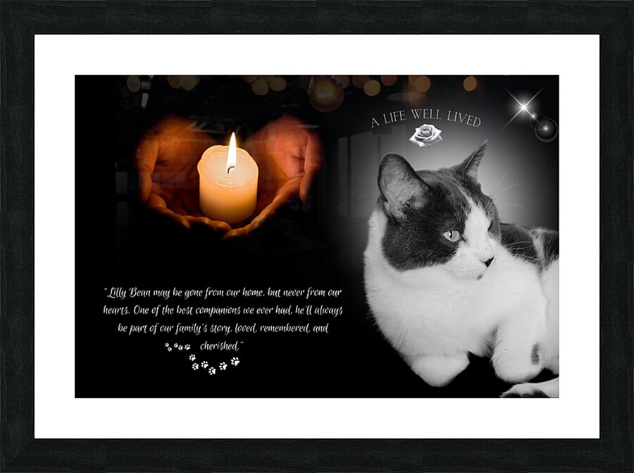Style 59A Picture Frame print