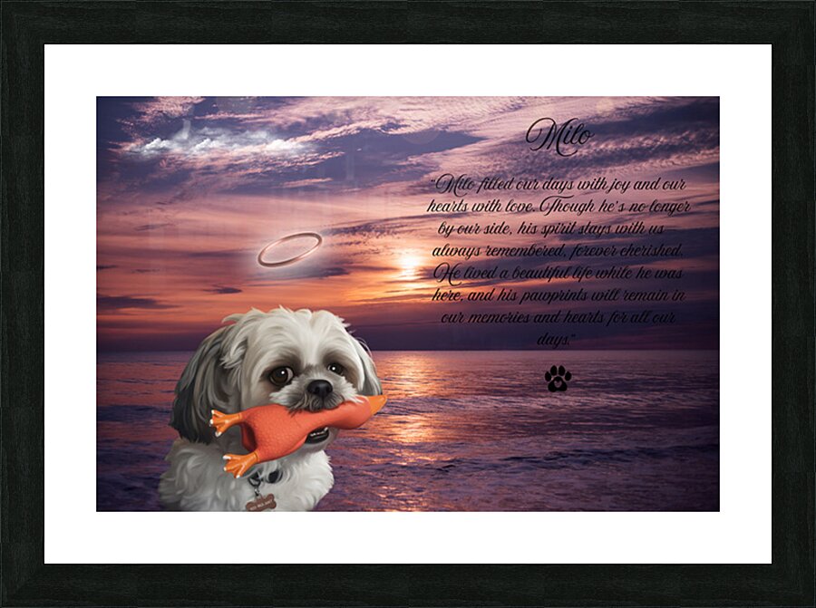 Style 92B Picture Frame print