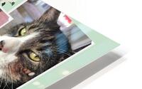 Style 16A HD Metal print
