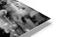 Style 38A HD Metal print