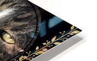 Style 47B HD Metal print