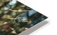 Style 65A HD Metal print