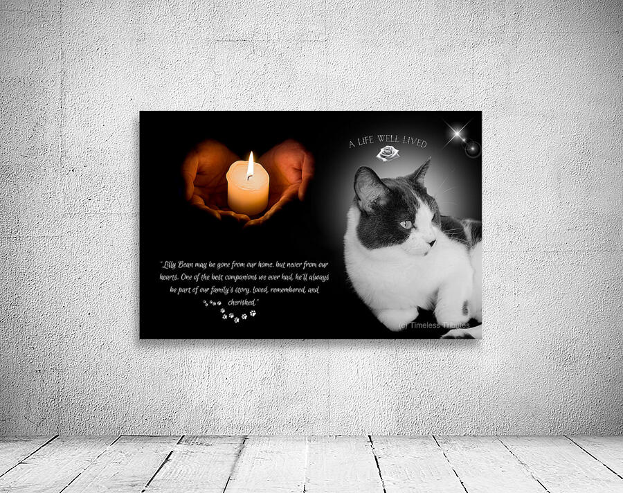 Style 59A Wall Preview