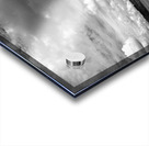 500 0042 Acrylic print