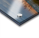 500 0005 Acrylic print