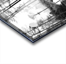 500 0141 Acrylic print
