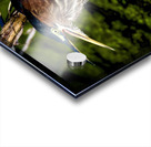 500 0024 Acrylic print