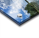 500 0035 Acrylic print