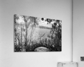 DSC 2730 Acrylic Print