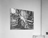 500 0019 Acrylic Print
