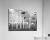 500 0043 Acrylic Print