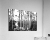500 0141 Acrylic Print