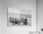 500 0635 Acrylic Print
