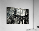 500 0764 Acrylic Print