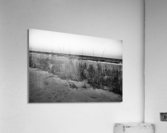 500 0127 Acrylic Print