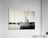 IMG 4064 Acrylic Print