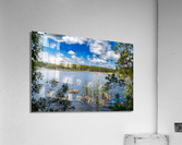 DSC 2731 Acrylic Print