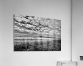 500 0111 Acrylic Print