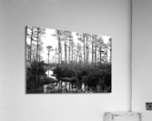 500 0141 Acrylic Print
