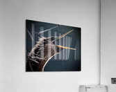 500 0045 Acrylic Print