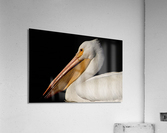 500 0015 Acrylic Print