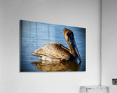 500 0202 Acrylic Print