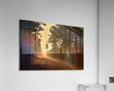 DSC 0030 Acrylic Print