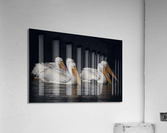 500 0010 Acrylic Print