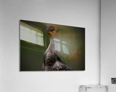 500 0288 Acrylic Print