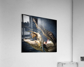 500 0063 Acrylic Print