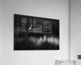500 0256 Acrylic Print
